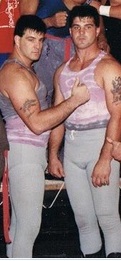 Twin Towers